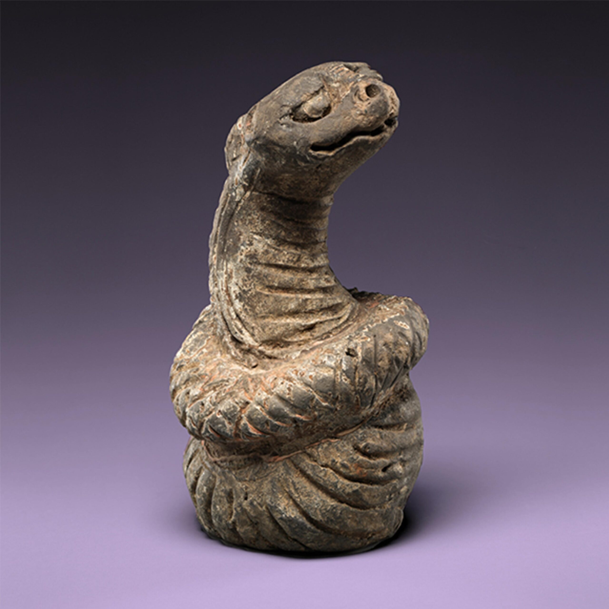 Celebrating the Year of the Snake